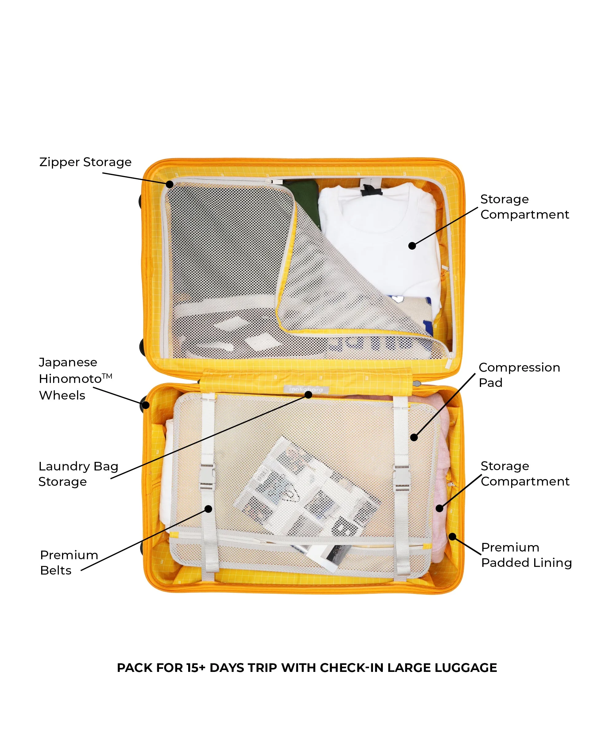 Thumbnail 18
